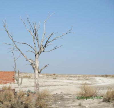 Donde no llega el agua